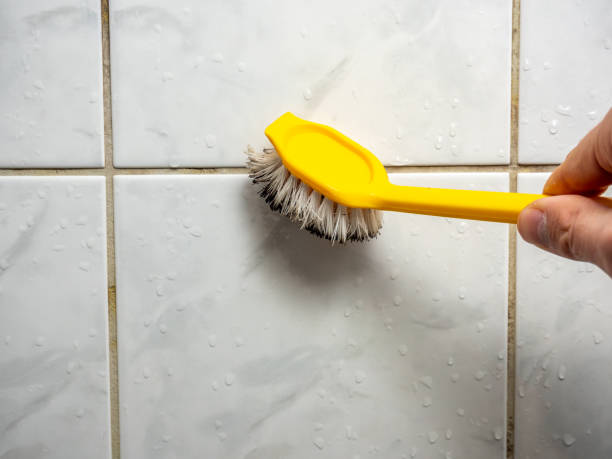 Best Mold Testing  in Duluth, GA